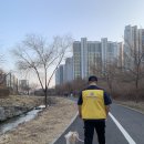 도그데일리 이미지