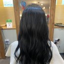 미장원339 이미지