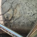 창원 청룡대 각석 이미지