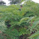 두립농장 이미지