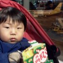 아랑여인숙 | [아가랑 세부여행]24개월 혁아랑 gogo