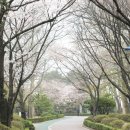 수봉공원 (망배단) 이미지