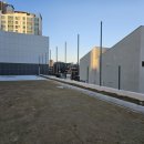 경구중학교 | 대구 경구중학교 운동장 비구방지망 그물망 설치 후기