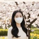 데일리 핏 이미지