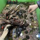 다솜생태체험관 이미지