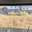 니어브릿지 - 4587 | 니어브릿지