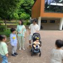 봉제산 유아숲체험원 이미지