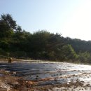 승기농장 이미지