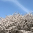 오섬권역농어촌체험휴양마을 이미지