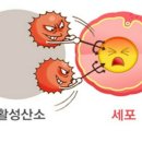 메트로정약국 이미지