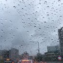 본동떡집 | [서울/화곡] 화곡 순대국밥 50년 전통 시장 노포 감성 개성순대국 후기 !