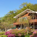 백야자연휴양림 이미지