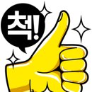 고고여행사