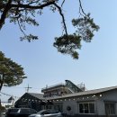 남항진해변 | 안목해변현지인맛집 얼큰한 팔당원조칼제비 강릉남항진점