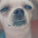 랑이네식탁 이미지