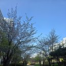 법원로R | 오늘까지 Grande size 2잔 마시면 별 3개를 받아요~ 스타벅스문정법원로R점에서 즐기는 브루드커피 후기^^