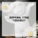 안양한방병원 이미지