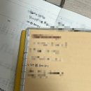 살면서 꼭 봐야 할 라푼젤 현실판🏰 : 치앙마이 이펭 풍등축제 CAD