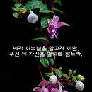 화요일 Daum카페