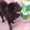 남수원세차장 이미지