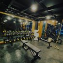 더블비휘트니스 이미지