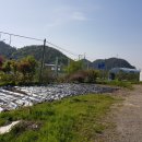 안산동(시경계) 이미지