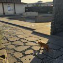 왕경2 | 경주 아기랑 한옥 풀빌라 펜션 왕경 황리단길 근처 숙소 가족펜션 추천