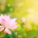 경희동의보감한의원 이미지
