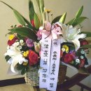 하빈1천 | 오늘 하빈 기곡리 10대 대고모(창녕조씨) 및 고모부(이전) 묘비(墓碑) 제막에 다녀오다.