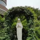 메가마트 옆 이미지