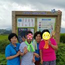 도원마을회관 이미지