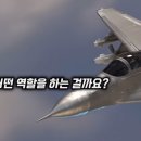 피토(Pitot) 이미지
