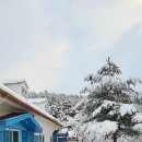 이부바바 이미지