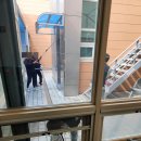 창도체육관 이미지