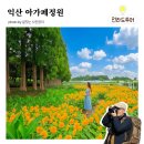 사진장 | 익산 아가페정원, 7월 해바라기 핀 메타세콰이어숲 실시간 방문후기 예약방법