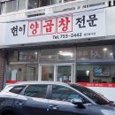 현이양이 이미지