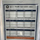 올리스 펫 쌀롱 이미지