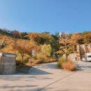 T1카페테리아 이미지