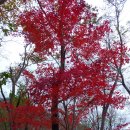 그 가을의 산길 (가인봉-백암산-입암산-시루봉-장자봉) 이미지