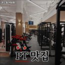 인천 서구 헬스장 센스짐 석남점 내용가격운영시간주차리뷰 알아보기