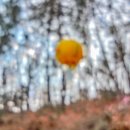 하나로회관 이미지