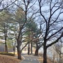 생활체육(의암)공원 이미지