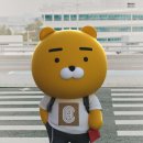 라이언 - 김천시 문화5길 18 | 라이언