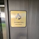 춘천유치원 | 춘천 엘림독 애견유치원 반려견 사회성 발달 최적 환경 조성