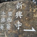 경주펜션 맛집 추천 해피데이 이미지