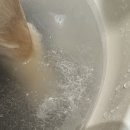 몽글댕글 이미지