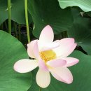 옥계동부초등학교 이미지