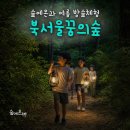 숲에온 | 어린이 여름 밤 곤충 체험, 북서울꿈의숲 숲에온아이들 체험 후기