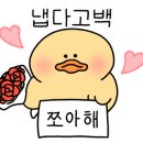 댕가앤쿡 이미지