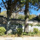 그루터기 이미지